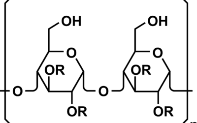 Your Immune System and AHCC