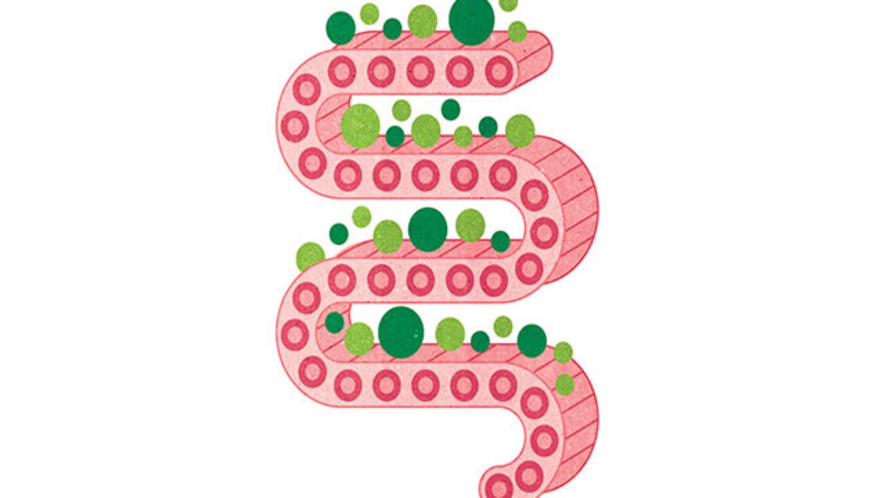 leaky-gut